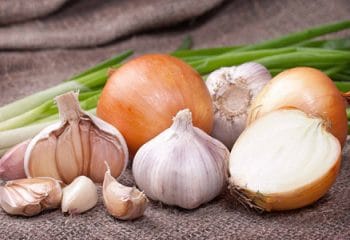 Soğan ve Sarımsak Sağlıktır