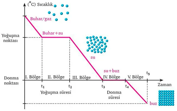 soguma-egrisi