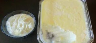 Kaliteli Bir Yoğurt Nasıl Mayalanır