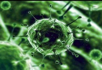 Korkunç Süper Mikroplar Geliyor