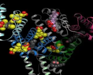 Total Protein Nedir, Total Protein Neden Yükselir ve Düşer