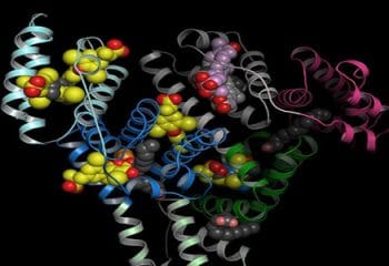 Total Protein Nedir, Total Protein Neden Yükselir ve Düşer