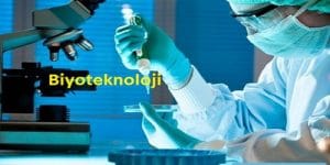 Biyoteknoloji Nedir? Biyoteknolojinin Uygulama Alanları Nelerdir?