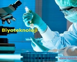 Biyoteknoloji Nedir? Biyoteknolojinin Uygulama Alanları Nelerdir?