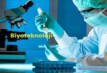 Biyoteknoloji Nedir? Biyoteknolojinin Uygulama Alanları Nelerdir?