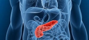 Amilaz Nedir ve Neden Yükselir