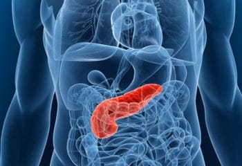 Amilaz Nedir ve Neden Yükselir