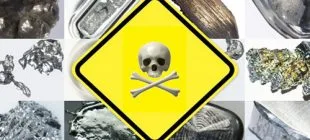 Ağır Metal Kirliliği Nedir ve Vücudu Nasıl Etkiler