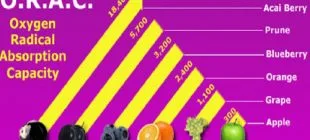 ORAC Nedir ve ORAC Değeri En Yüksek Besinler Nelerdir