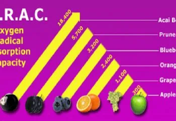 ORAC Nedir ve ORAC Değeri En Yüksek Besinler Nelerdir