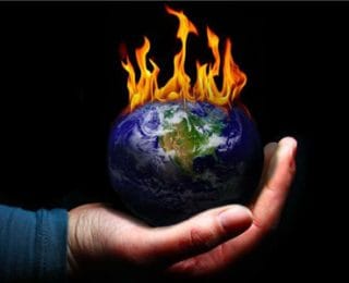 Yaban Hayatının Yarısını Sadece 40 Yılda Yok Ettik