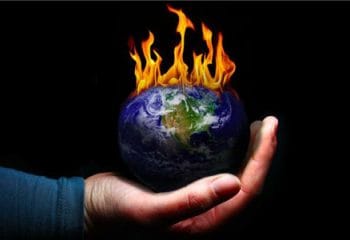 Yaban Hayatının Yarısını Sadece 40 Yılda Yok Ettik