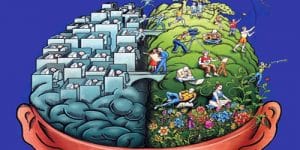 Hafızayı Güçlendiren Evde Yetiştirebileceğiniz 5 Bitki