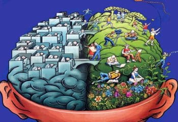 Hafızayı Güçlendiren Evde Yetiştirebileceğiniz 5 Bitki