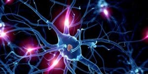Serotonin Nedir ve Serotonin Düşüklüğünün Nedenleri Nelerdir