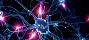Serotonin Nedir ve Serotonin Düşüklüğünün Nedenleri Nelerdir