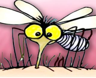 Sivrisinek Kaşıntısını Geçiren Etkili Yöntemler