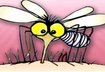 Sivrisinek Kaşıntısını Geçiren Etkili Yöntemler