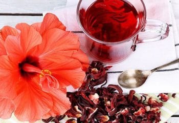 Hibisküs Nedir Faydaları Nelerdir