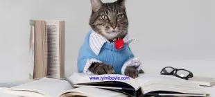 Kedilerden Alacağımız Hayat Dersleri