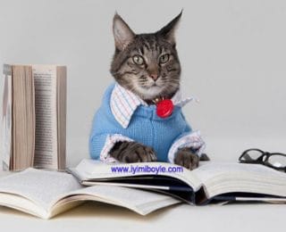 Kedilerden Alacağımız Hayat Dersleri