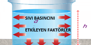 Sıvı Basıncını Etkileyen Değişkenler