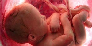Hamilelik Döneminde Bebeğin Kalp Atışları Ne Zaman Belli Olur
