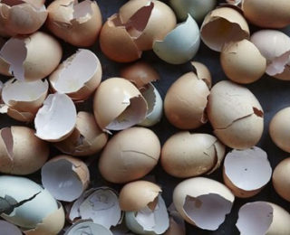 Yumurta Kabuklarını Atmayın İşte Ev İşlerindeki İnanılmaz Faydaları
