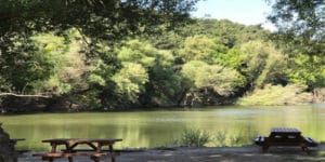 İzmir Karagöl Tabiat Parkı