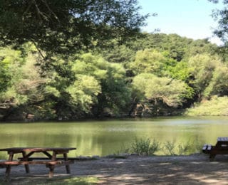 İzmir Karagöl Tabiat Parkı