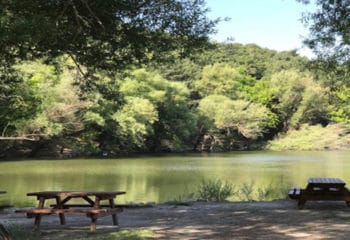 İzmir Karagöl Tabiat Parkı