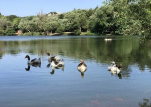 karagöl tabiat parkı