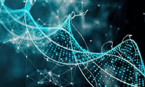 DNA ve Genetik Kod (Yeni Müfredata Uygun)