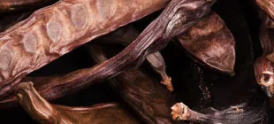 Keçiboynuzu Özü Neye Yarar