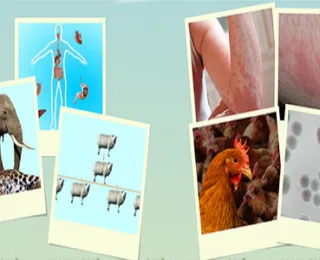 Biyoteknolojik Uygulamaların İnsanlık için Yararları ve Zararları