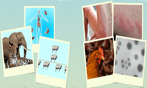 Biyoteknolojik Uygulamaların İnsanlık için Yararları ve Zararları