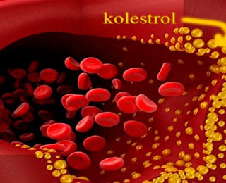 Kolesterol Nedir