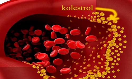 Kolesterol Nedir
