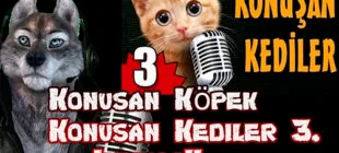 2019 Yılının En Çok İzlenen Youtube Videoları