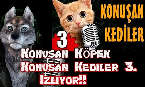 2019 Yılının En Çok İzlenen Youtube Videoları