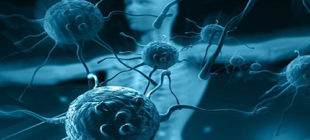 Corona Virüse Karşı Bağışıklık Sistemini Güçlendirmek İçin Neler Yapmalıyız