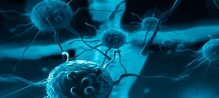 Corona Virüse Karşı Bağışıklık Sistemini Güçlendirmek İçin Neler Yapmalıyız