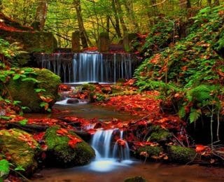 Yedigöller Milli Parkı