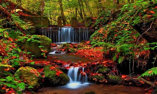 Yedigöller Milli Parkı