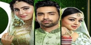 Bahu Begum Hint Dizisi