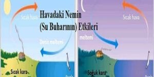 Havadaki Nemin (Su Buharının) Etkileri