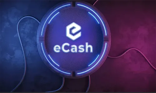 Xec Coin Nedir