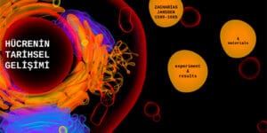 Hücrenin Tarihsel Gelişimi