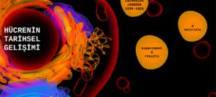 Hücrenin Tarihsel Gelişimi